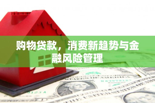 揭东购物贷款，消费新趋势与金融风险管理