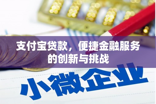揭东支付宝贷款，便捷金融服务的创新与挑战