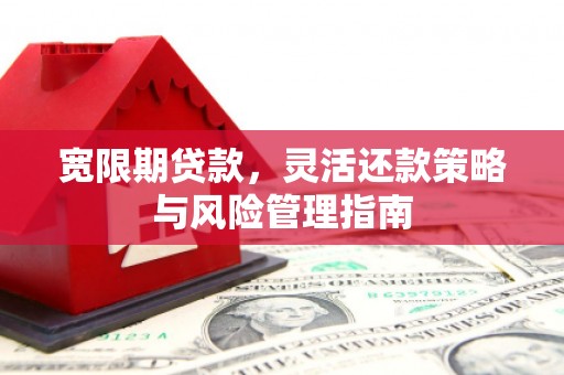 揭东宽限期贷款，灵活还款策略与风险管理指南