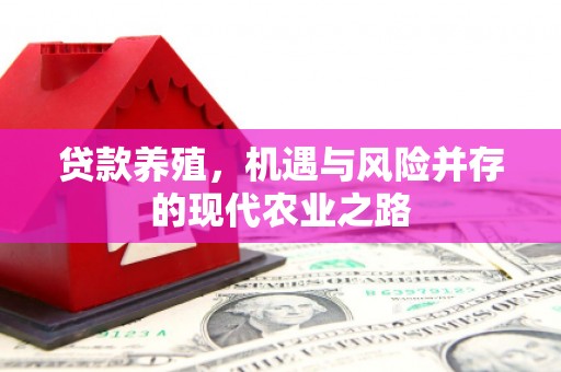 揭东贷款养殖，机遇与风险并存的现代农业之路