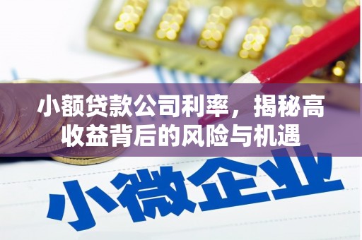 揭东小额贷款公司利率，揭秘高收益背后的风险与机遇