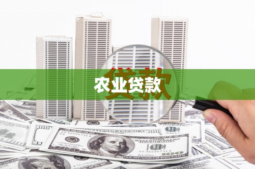 揭东农业贷款