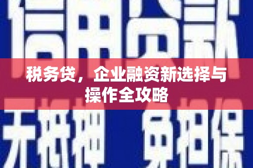 揭东税务贷，企业融资新选择与操作全攻略