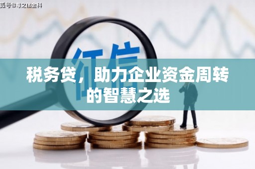 揭东税务贷，助力企业资金周转的智慧之选