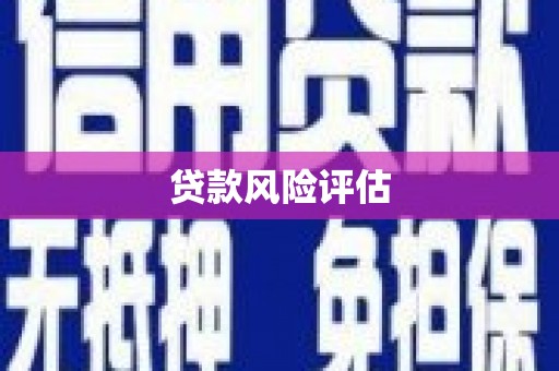 揭东贷款风险评估
