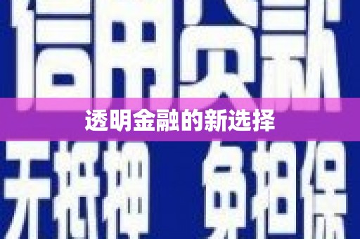 揭东透明金融的新选择