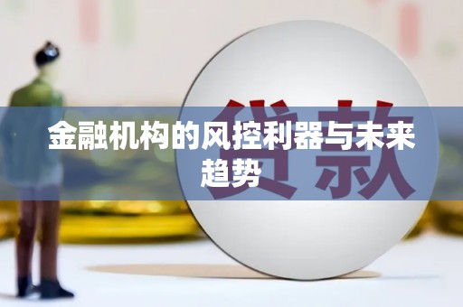 揭东金融机构的风控利器与未来趋势