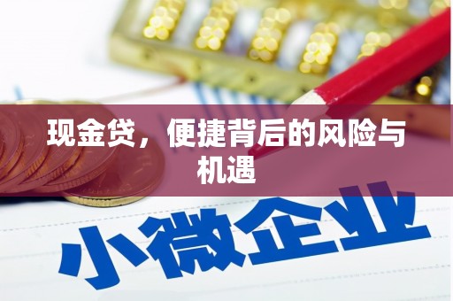 揭东现金贷，便捷背后的风险与机遇