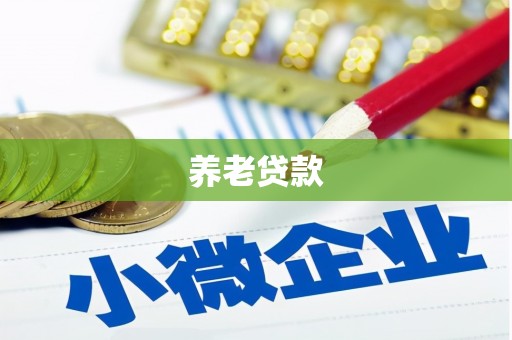 揭东养老贷款