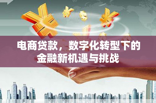 揭东电商贷款，数字化转型下的金融新机遇与挑战