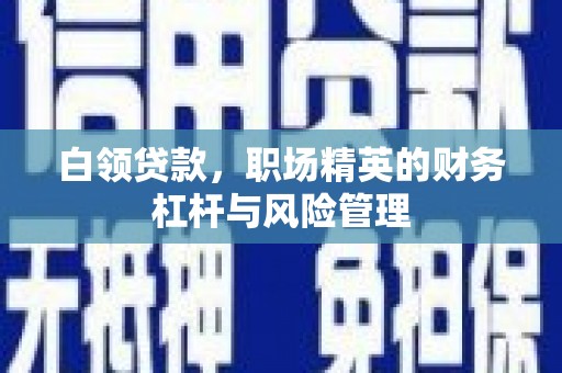 揭东白领贷款，职场精英的财务杠杆与风险管理