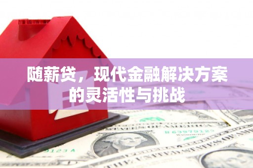 揭东随薪贷，现代金融解决方案的灵活性与挑战