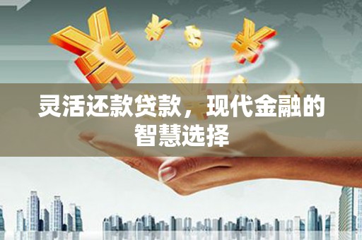 揭东灵活还款贷款，现代金融的智慧选择