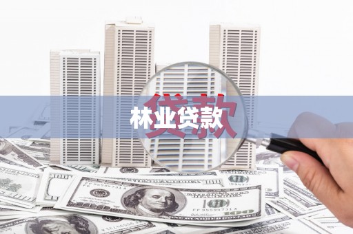 揭东林业贷款