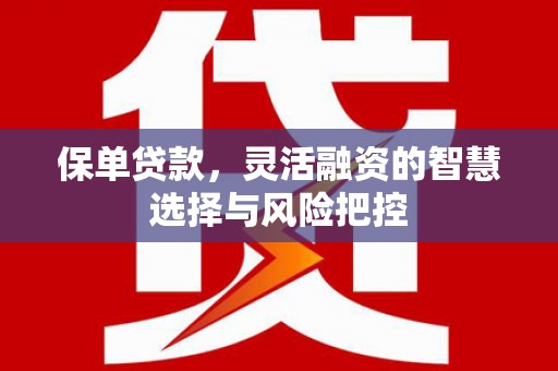 揭东保单贷款，灵活融资的智慧选择与风险把控