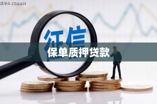 揭东保单质押贷款