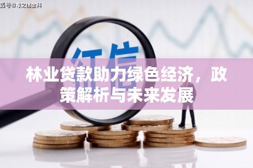 揭东林业贷款助力绿色经济，政策解析与未来发展