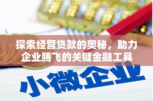 揭东探索经营贷款的奥秘，助力企业腾飞的关键金融工具