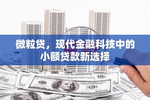 揭东微粒贷，现代金融科技中的小额贷款新选择