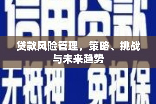 揭东贷款风险管理，策略、挑战与未来趋势