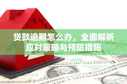 揭东贷款逾期怎么办，全面解析应对策略与预防措施