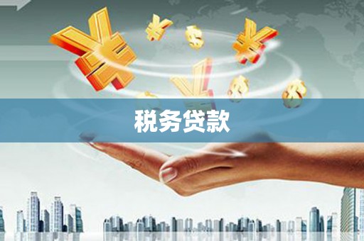 揭东税务贷款