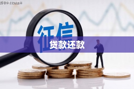 揭东贷款还款