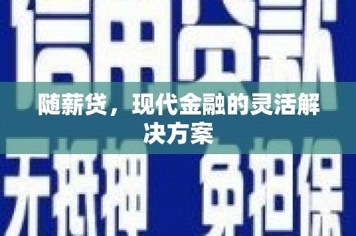 揭东随薪贷，现代金融的灵活解决方案