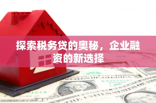 揭东探索税务贷的奥秘，企业融资的新选择
