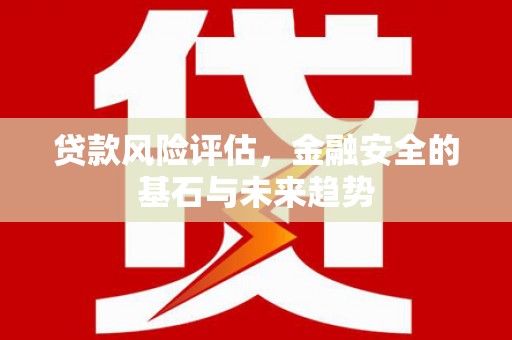 揭东贷款风险评估，金融安全的基石与未来趋势