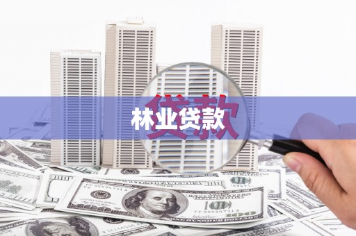 揭东林业贷款