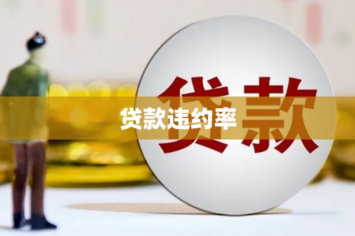 揭东贷款违约率