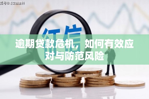 揭东逾期贷款危机，如何有效应对与防范风险