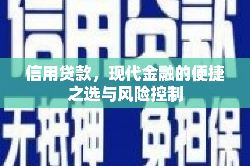 揭东信用贷款，现代金融的便捷之选与风险控制
