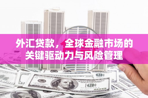 揭东外汇贷款，全球金融市场的关键驱动力与风险管理