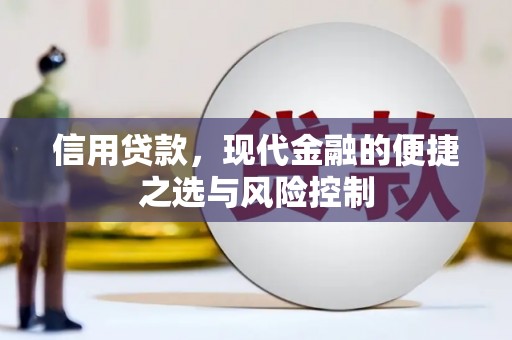揭东信用贷款，现代金融的便捷之选与风险控制