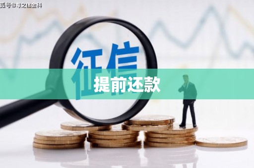 揭东提前还款