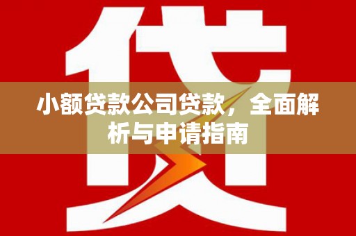 揭东小额贷款公司贷款，全面解析与申请指南