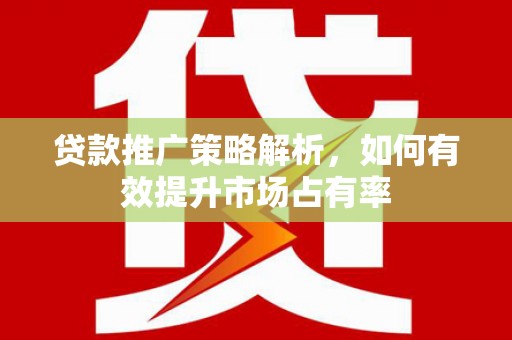 揭东贷款推广策略解析，如何有效提升市场占有率