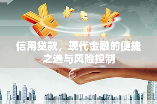 揭东信用贷款，现代金融的便捷之选与风险控制
