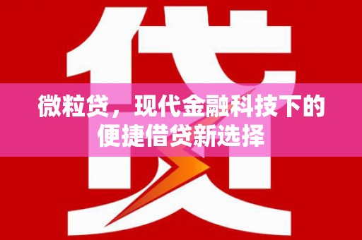 揭东微粒贷，现代金融科技下的便捷借贷新选择