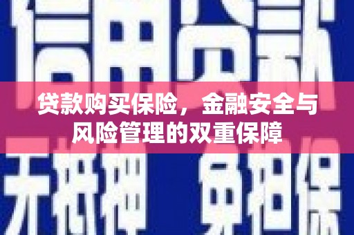 揭东贷款购买保险，金融安全与风险管理的双重保障