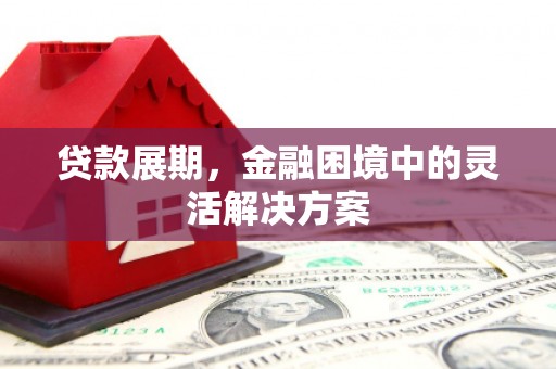 揭东贷款展期，金融困境中的灵活解决方案