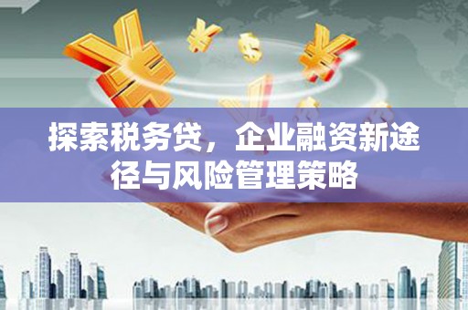 揭东探索税务贷，企业融资新途径与风险管理策略