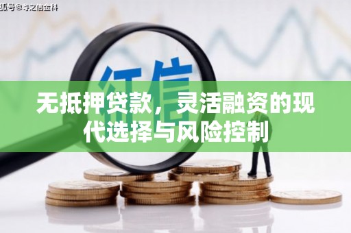 揭东无抵押贷款，灵活融资的现代选择与风险控制