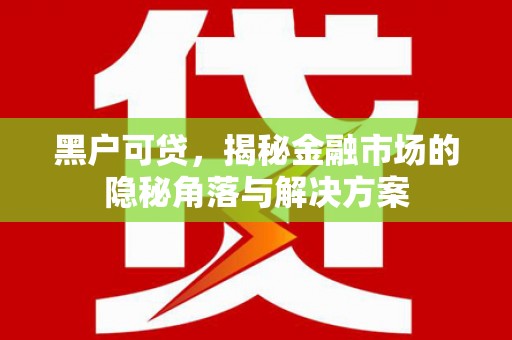 揭东黑户可贷，揭秘金融市场的隐秘角落与解决方案