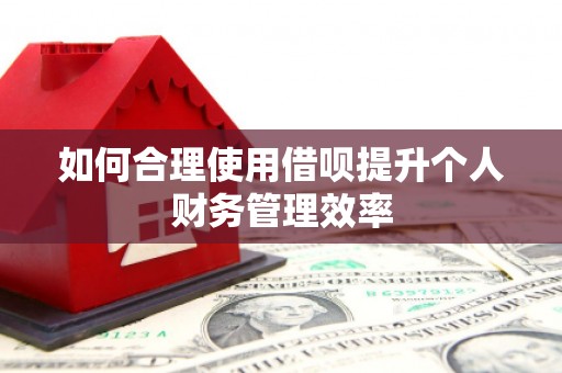 揭东如何合理使用借呗提升个人财务管理效率