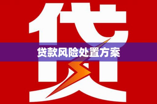 揭东贷款风险处置方案