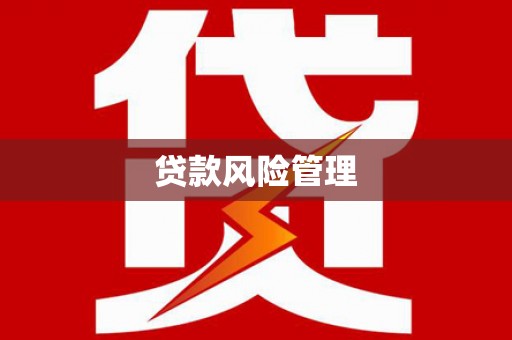 揭东贷款风险管理
