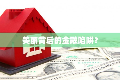 揭东美丽背后的金融陷阱？